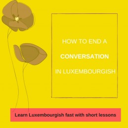 End a conversation in Luxembourgish