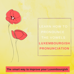 Luxembourgish pronunciation vowels
