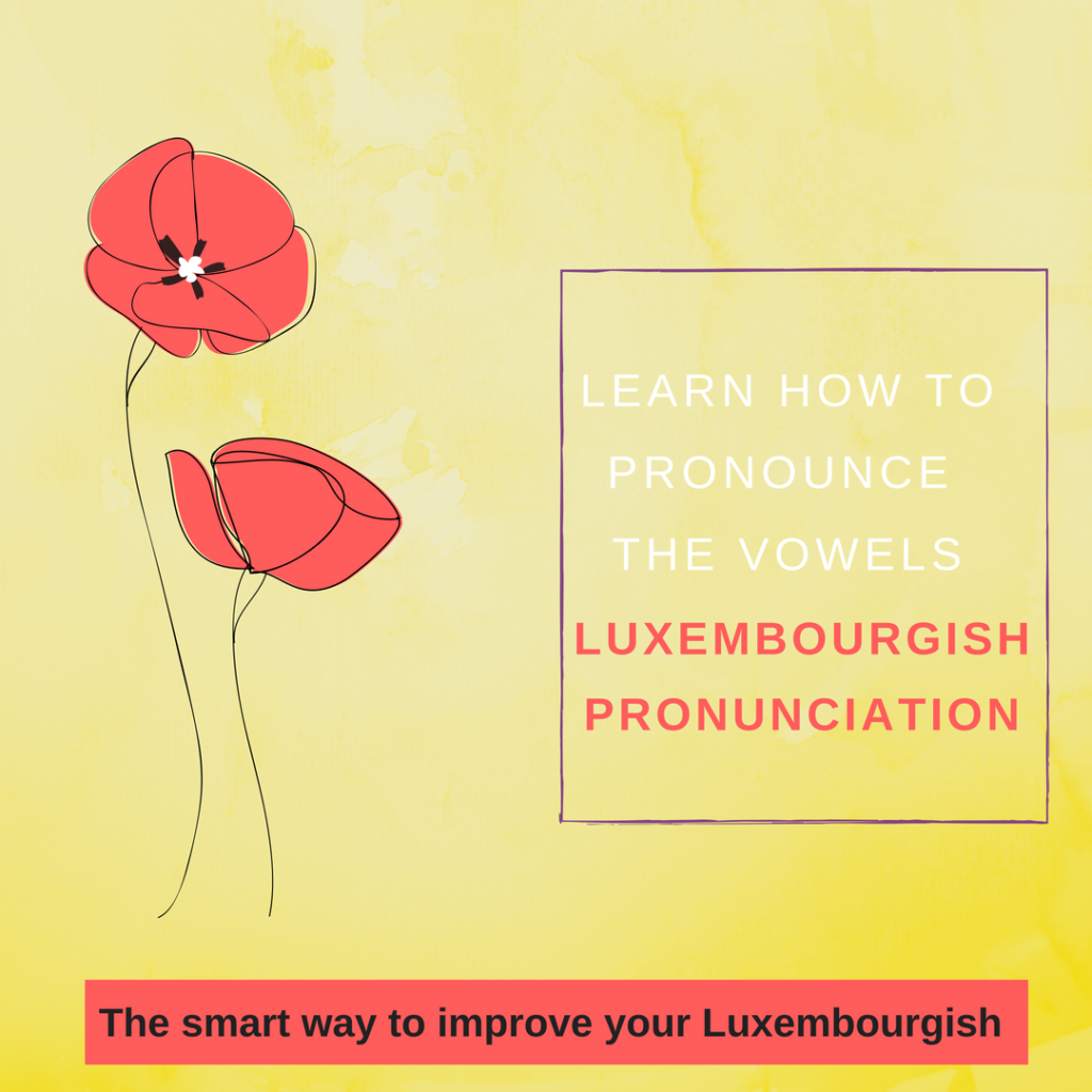 Learn How To Pronounce The Luxembourgish Vowels Luxembourgish With Anne