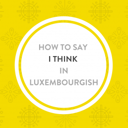 How to say I think