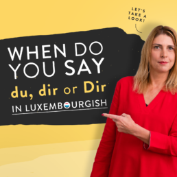 Luxembourgish grammar du dir Dir